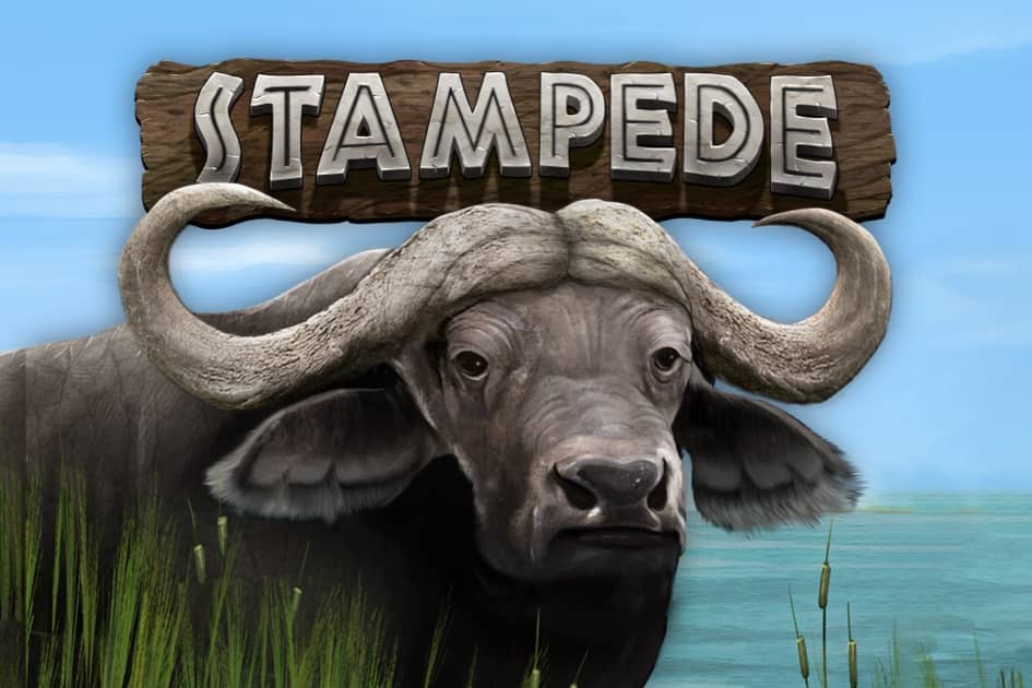 Stampede Cover Image