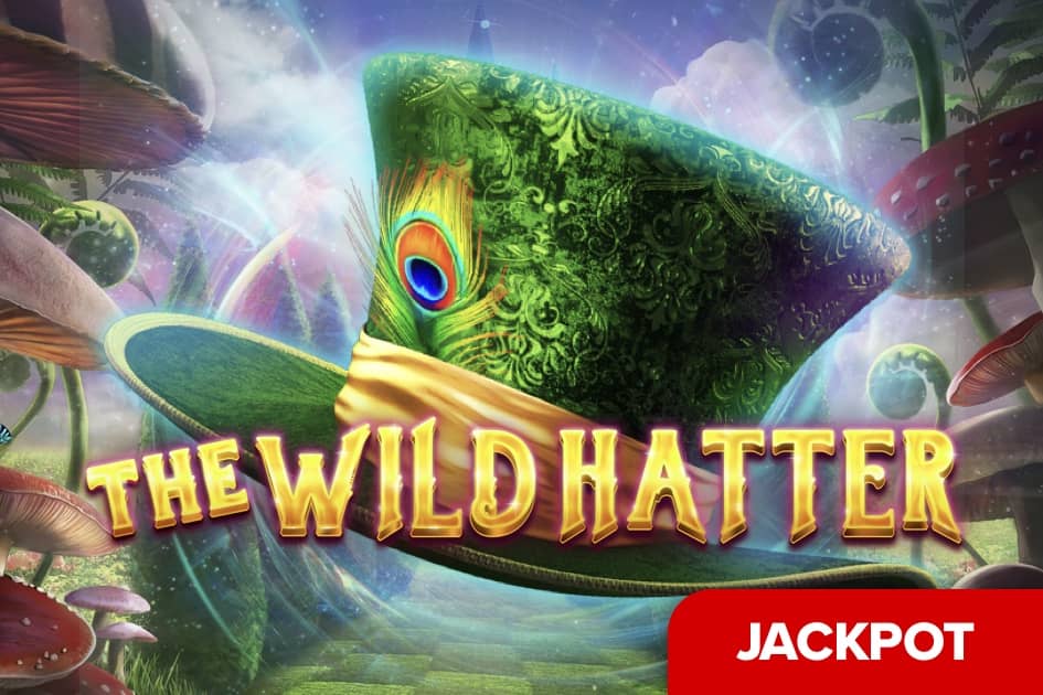 The Wild Hatter Cover Image