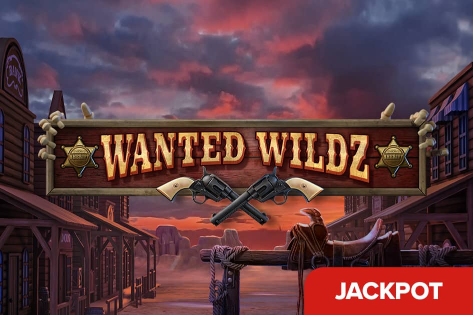 Wanted Wildz Cover Image