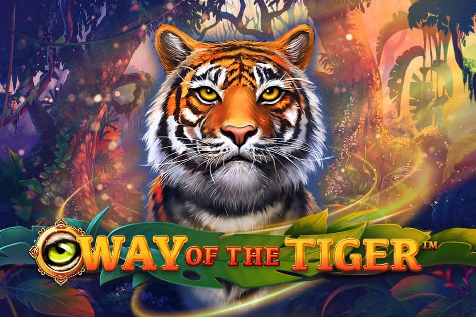 Way of the Tiger Cover Image
