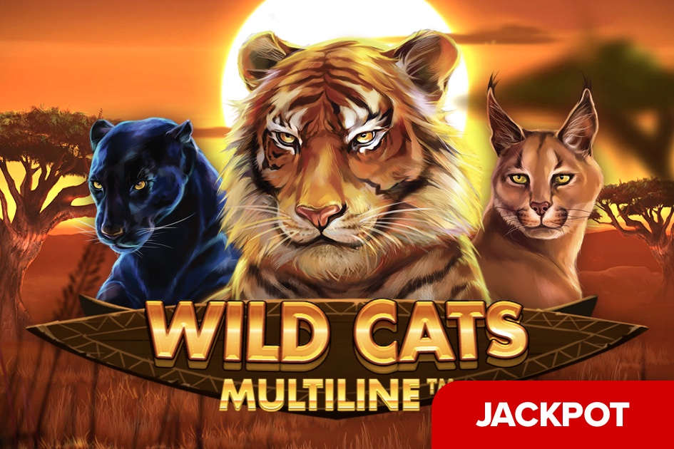 Wild Cat Slot: Real Jackpot & – Apps no Google Play