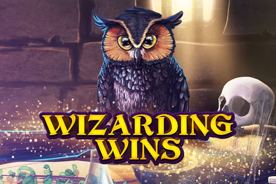 Wizarding Wins Cover Image