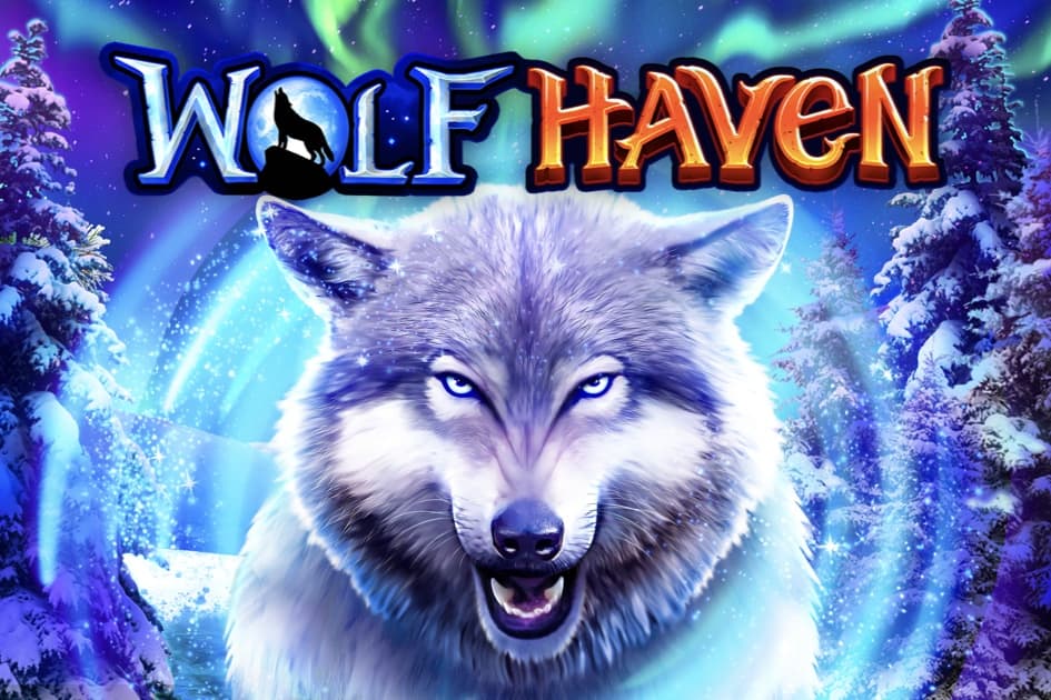 Wolf Haven Cover Image
