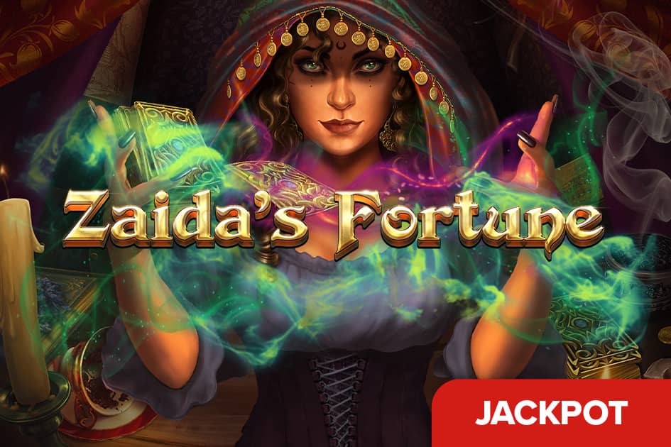 Zaida's Fortune Cover Image