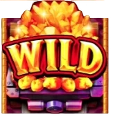 Wild Symbol