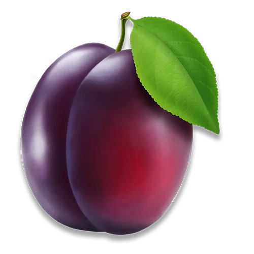 Plum