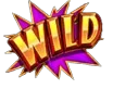 Wild Symbol