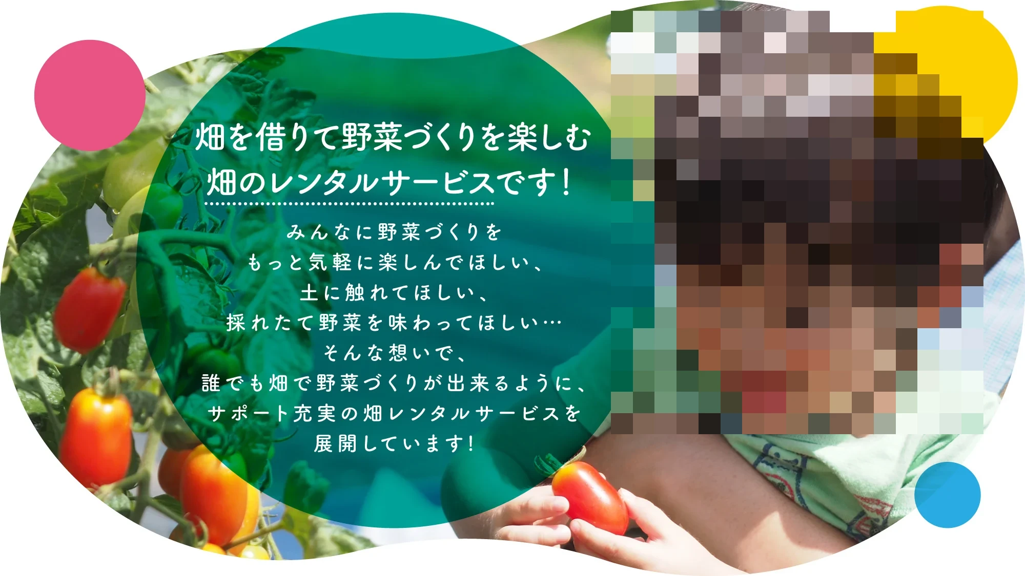 メイン画像