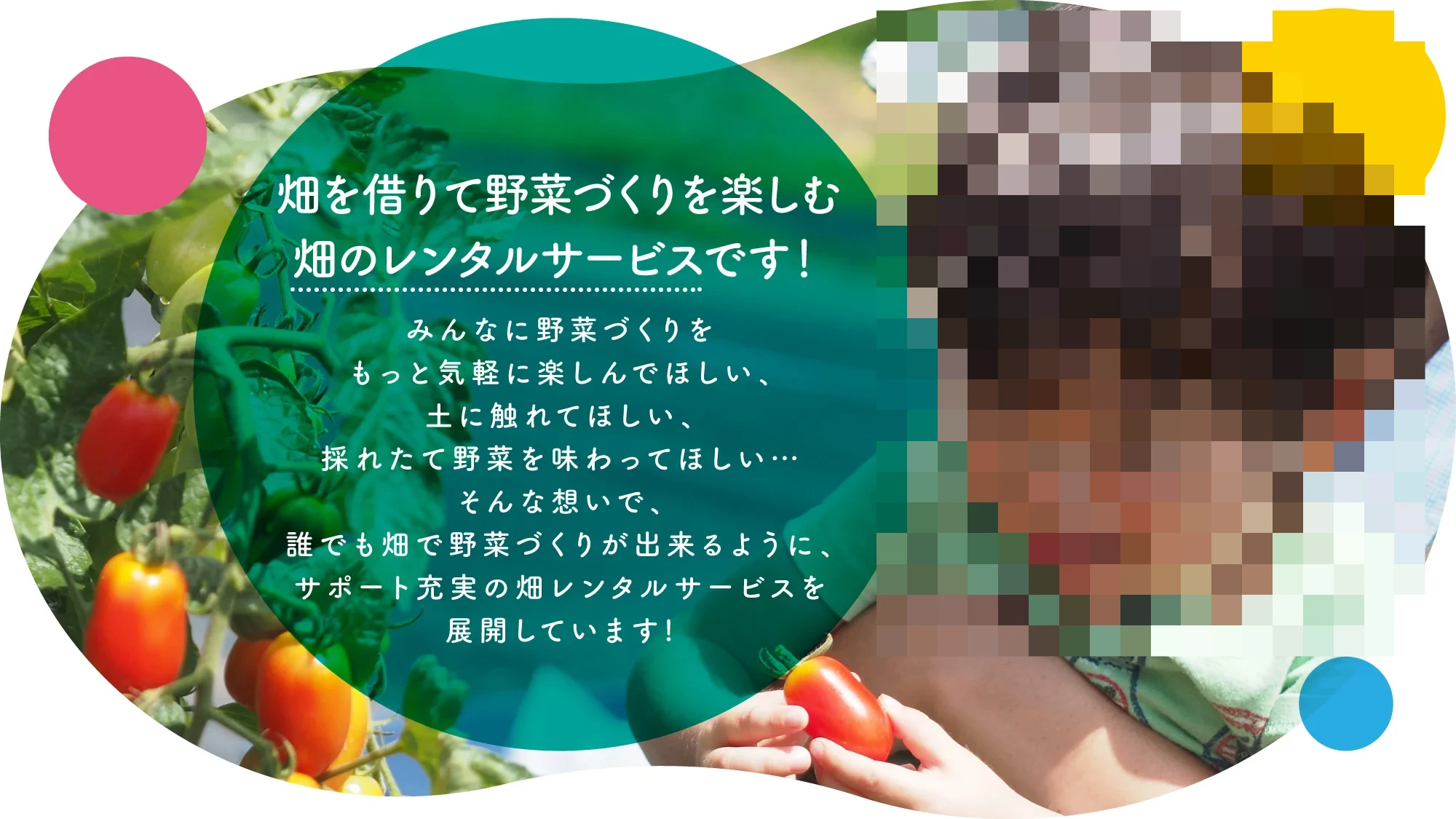 メイン画像