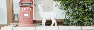 メイン画像