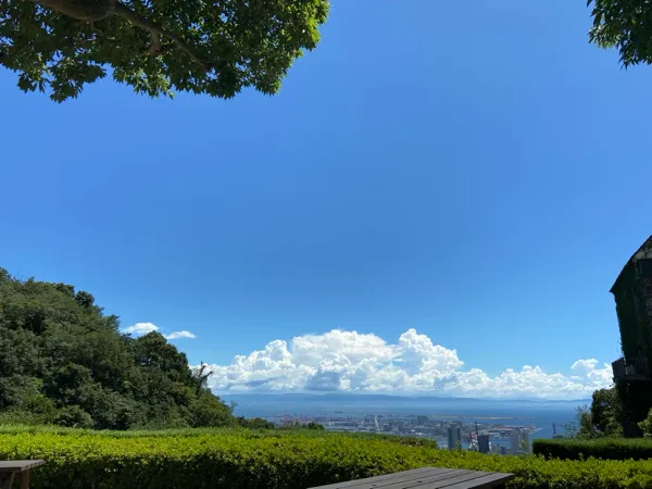 メイン画像