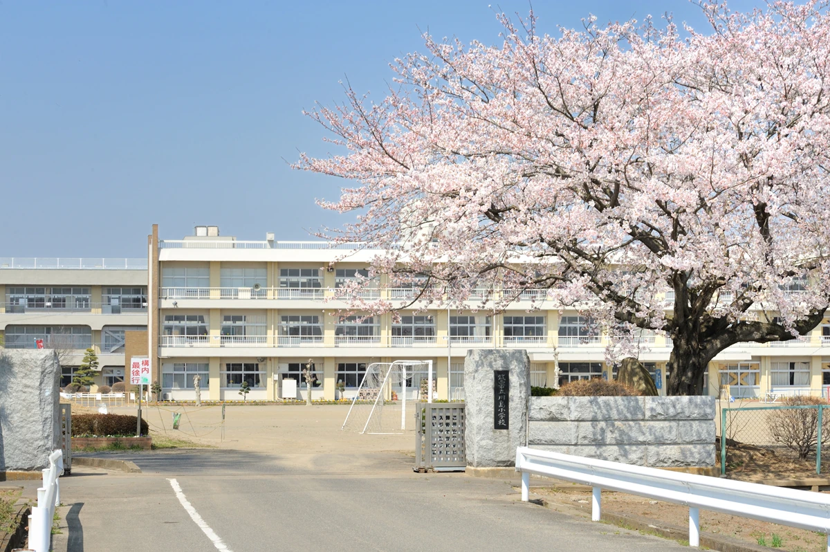メイン画像