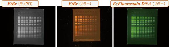 Printgraph Classic (P1ATO1000006-1)|サイサチ機器カタログ Printgraph Classic (P1ATO1000006-1)|サイサチ機器カタログ
