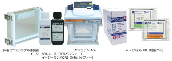 「高速ハイレゾ電気泳動」宣言！