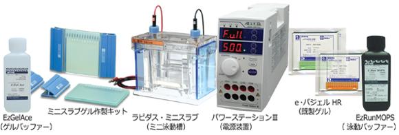 WSE-1165ラピダス・ミニスラブ電気泳動槽 8×9cmゲル (P1ATO1000017-1