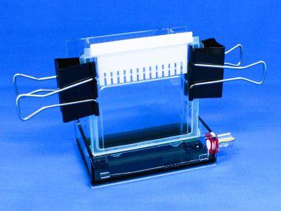 スラブ型（縦型）電気泳動装置 株式会社バイオクラフト ミニゲルスラブ電気泳動装置