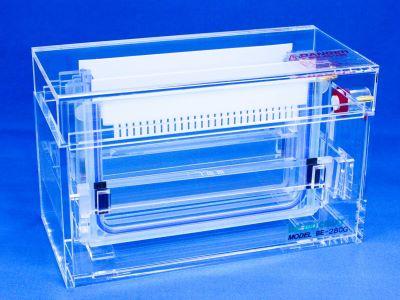 スラブ型（縦型）電気泳動装置 株式会社バイオクラフト ツインワイドミニリアルスラブ電気泳動装置