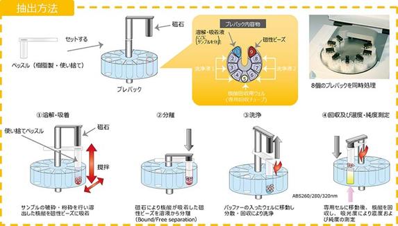 抽出方法