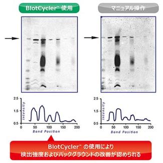 全自動ウェスタン装置 Precision Biosystems BlotCycle(TM)-Touch Mini/Delta