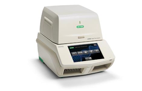CFX96 Touch リアルタイム PCR 解析システム