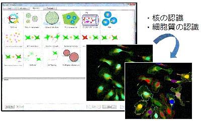 解析メニューをロードして定量解析