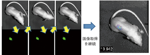 高速画像取得（ストリーム読出し）が可能
ストリーム読出し（参照画像/発光（蛍光）画像をミリ秒にて高速切替）