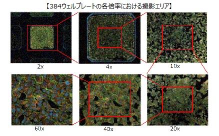 ハイスループット/高画質
ハイスループット
・広視野sCMOSカメラを最大4台搭載