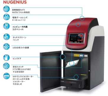 ゲル撮影装置 SYNGENE Nu:Genius with 20×20 302nm Iluminator, 100V