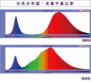 分光分布図：光量子量比率