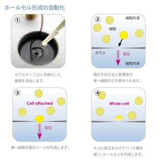 オートパッチクランプの測定原理