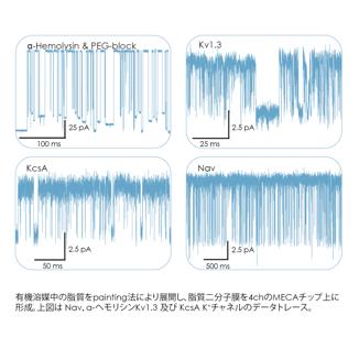 測定データ例