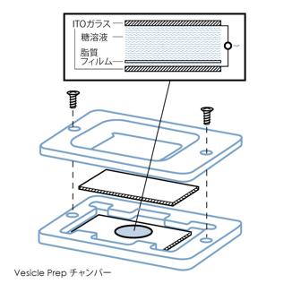 リポソーム形成チャンバー