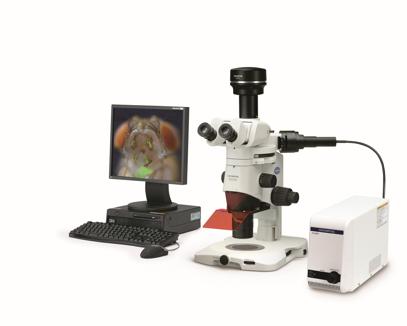 実体顕微鏡SZX16＋顕微鏡用高輝度ライトガイド光源装置 U-LGPS＋顕微鏡用デジタルカメラDP74組み合わせ例