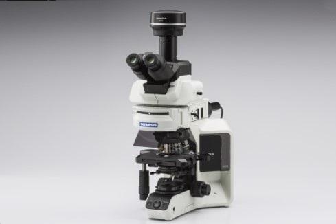 システム顕微鏡（蛍光観察）　BX53-FL