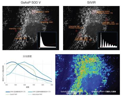 革新的なSilVIRディテクターを新たに搭載し、低ノイズで定量性の高い画像の取得が可能