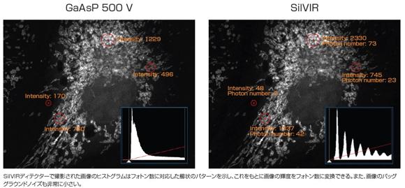 革新的なSilVIRディテクターを新たに搭載し、低ノイズで定量性の高い画像の取得が可能