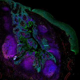 取得画像イメージ1
