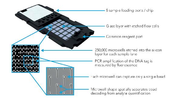 マイクロ流路チップ(消耗品)構造