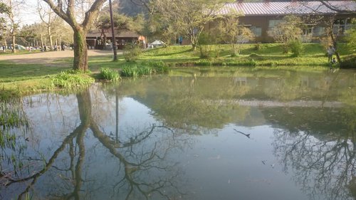 でっかい池