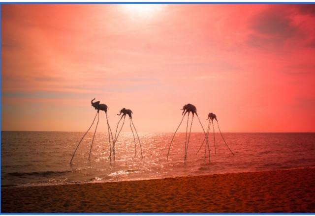 Thị trường BĐS nghỉ dưỡng Phú Quốc đón "sóng" đầu tư hậu Covid