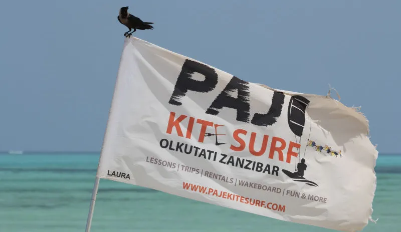 Paje