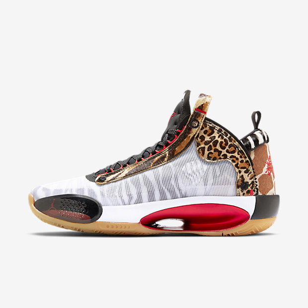 zoo jordan 34