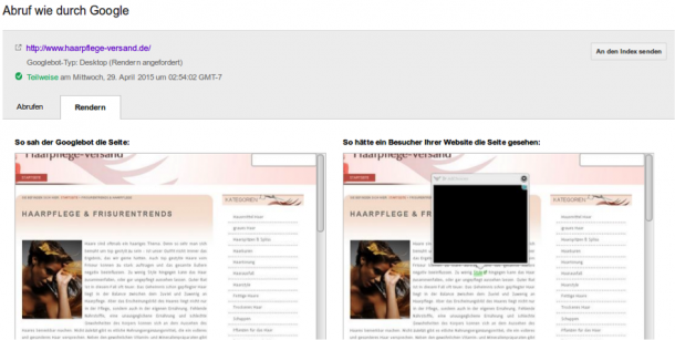 Kontrolle des Google Caches
