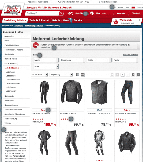 Qualitative_Analyse_Conversion_Framework_INVESP_Conversion_Framework