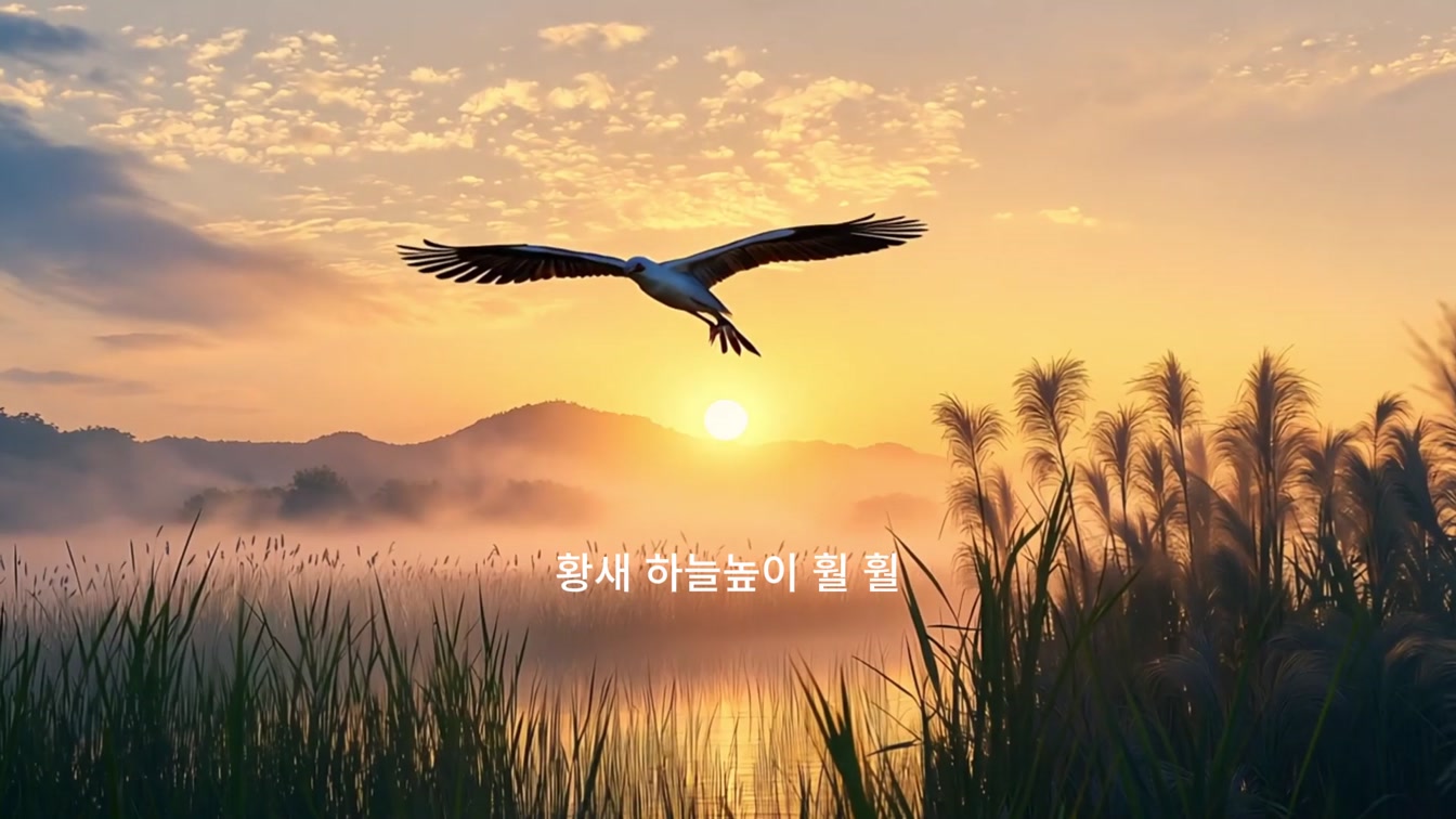 우리습지 공모전 탈락영상 | 반성합니다. #공모전탈락 2번째 장면