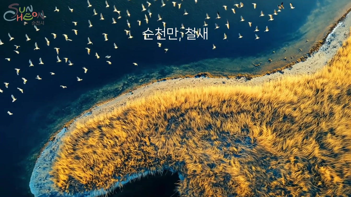 2024 글로벌 콘텐츠 페스티벌 in 순천 | 도전! AI 영상 공모전 | 보석 같은 도시 순천 5번째 장면