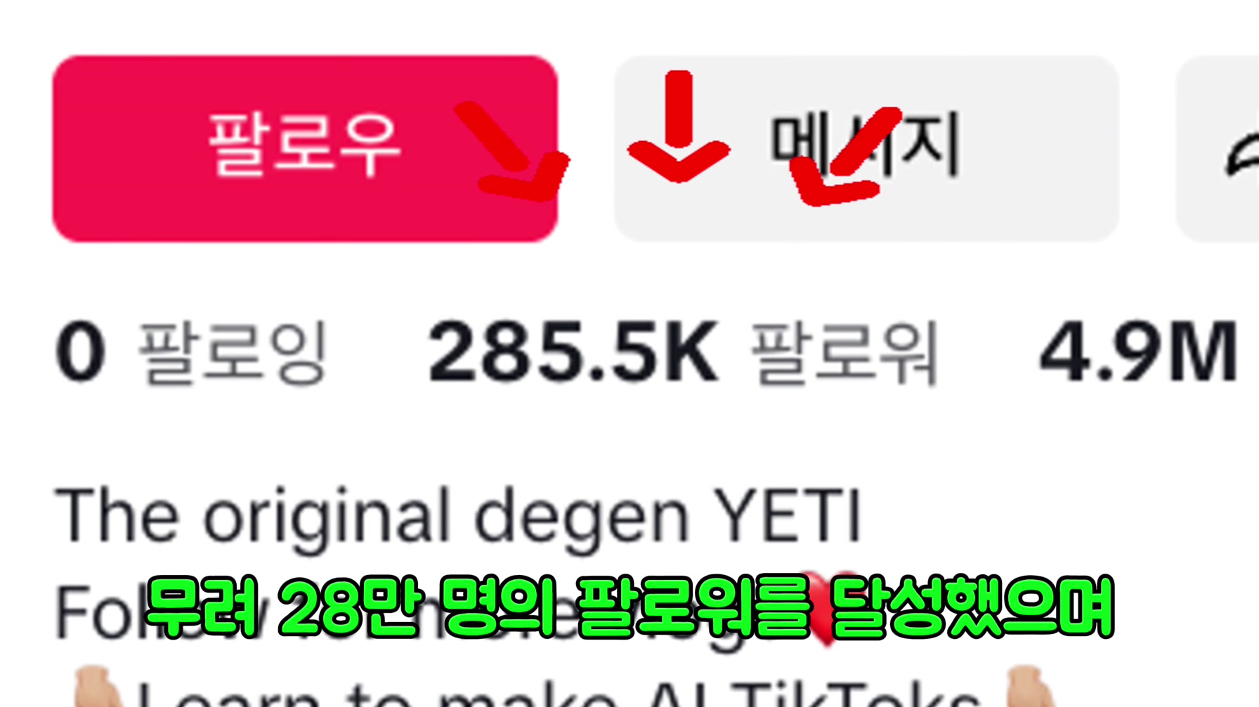 구글 VEO3를 100% 무료로 사용해서 떡상 동물 브이로그를 만들어 봤습니다 (국내 최초 공개) 2번째 장면