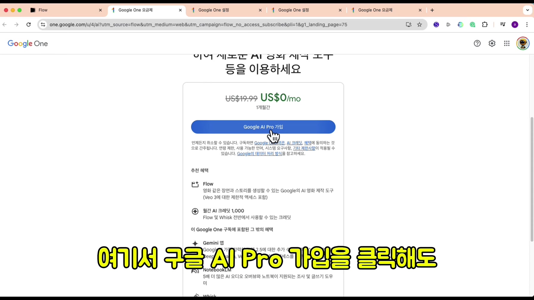 구글 VEO3를 100% 무료로 사용해서 떡상 동물 브이로그를 만들어 봤습니다 (국내 최초 공개) 5번째 장면