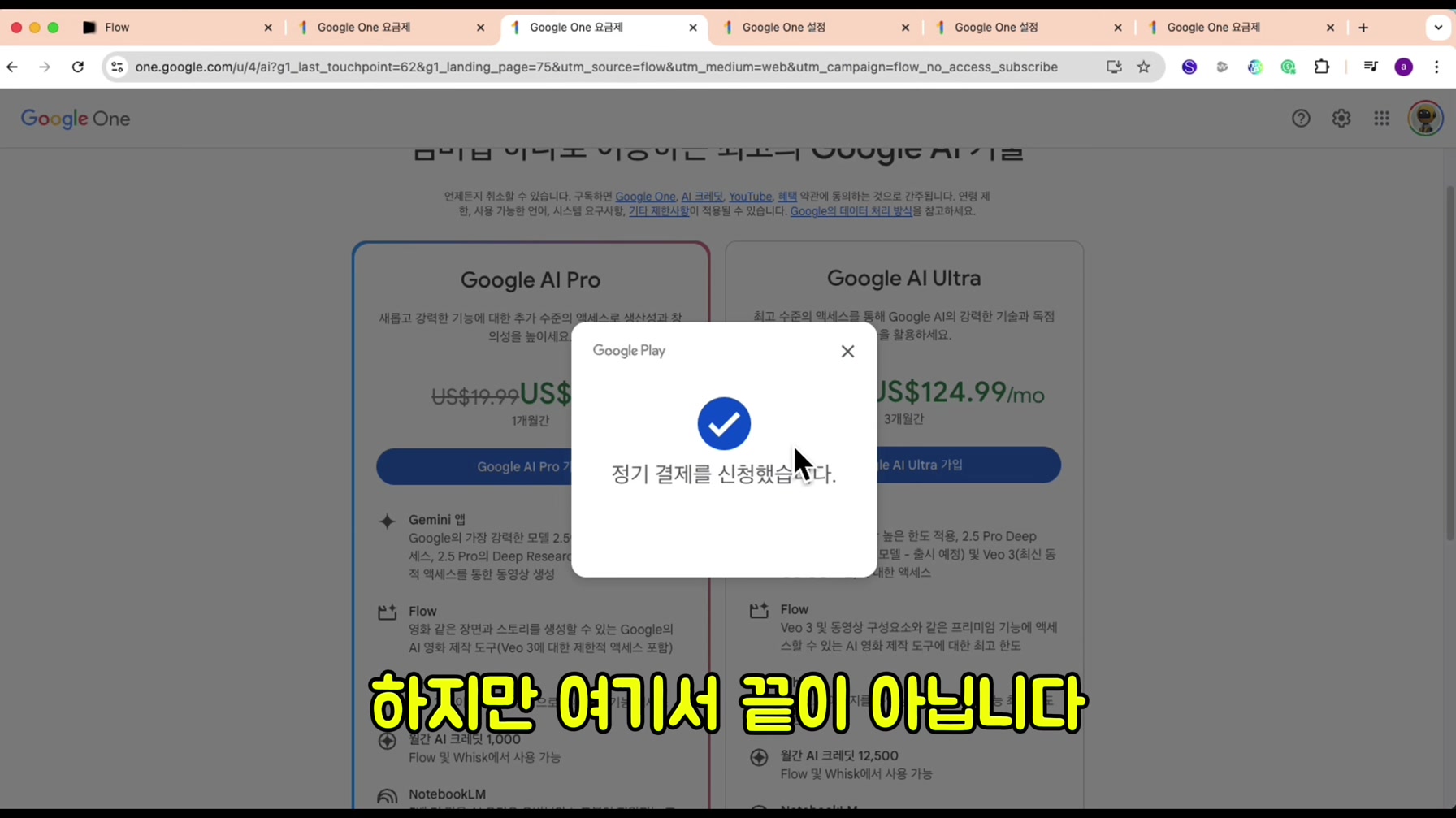구글 VEO3를 100% 무료로 사용해서 떡상 동물 브이로그를 만들어 봤습니다 (국내 최초 공개) 6번째 장면