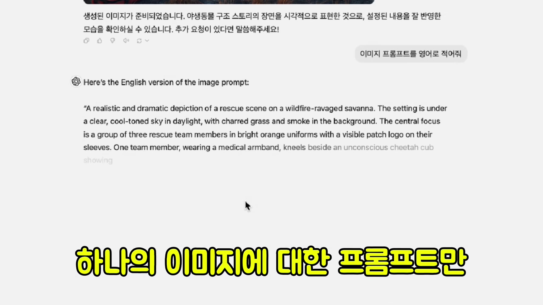 고작 3개월 만에 구독자 50만명을 달성한 동물 구조 채널의 비법 대공개 5번째 장면